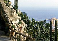 Deluxe Drivers : Flower and gardens: Menton, Monaco, Eze Village