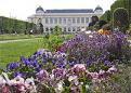 Deluxe Drivers :Jardin des Plantes
