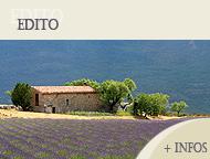 Deluxe Drivers : Edito